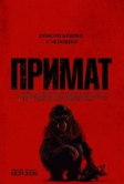 Примат (2025)